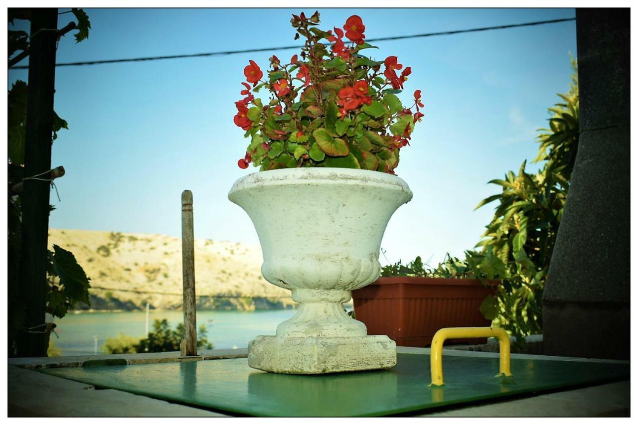 לופאר Apartments Boric מראה חיצוני תמונה